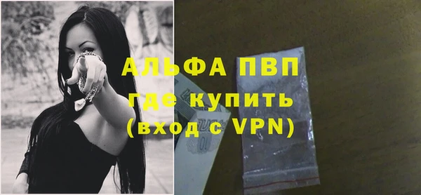 гашик Ростов