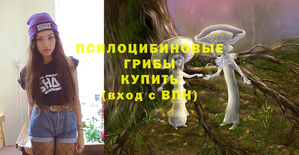 гашик Ростов