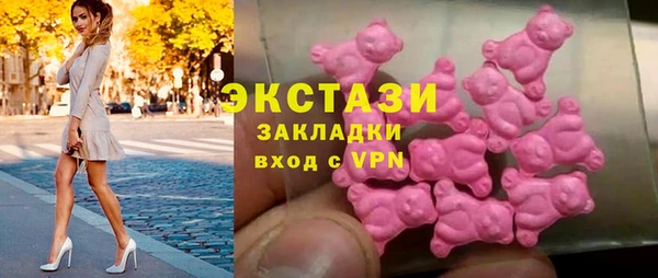 СК Гатчина