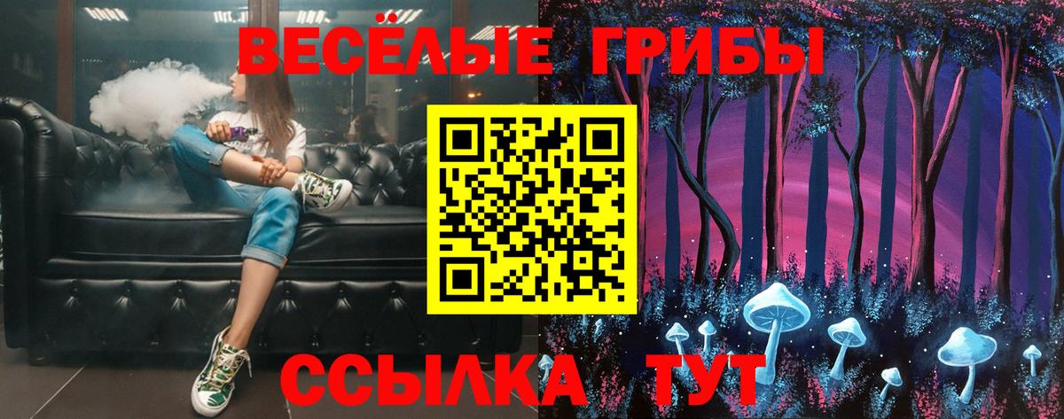 Псилоцибиновые грибы Cubensis Лыткарино